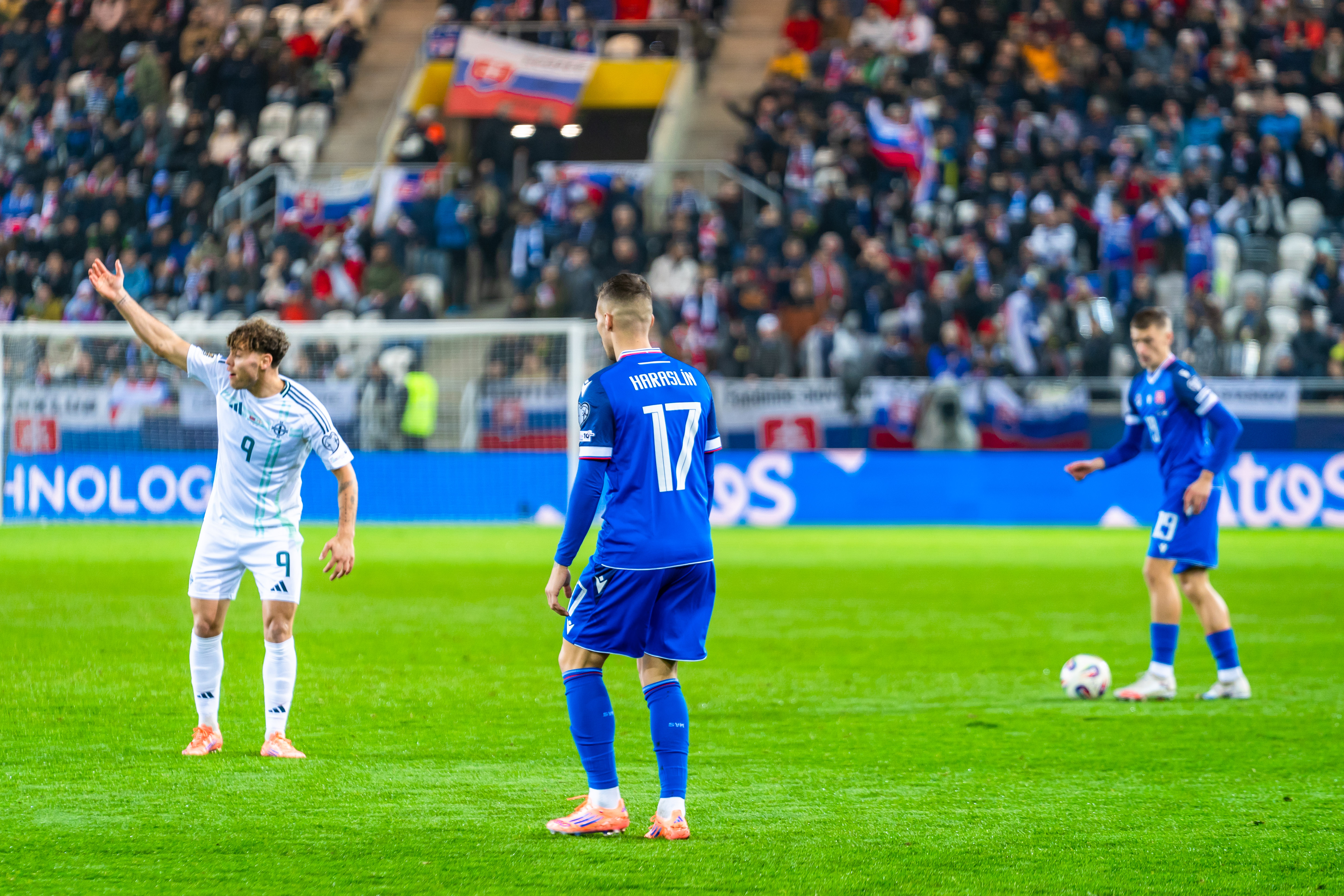 Slovensko vs Severne Irsko-23